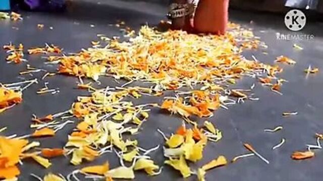 Indian mistress has her feet worshipped by slave